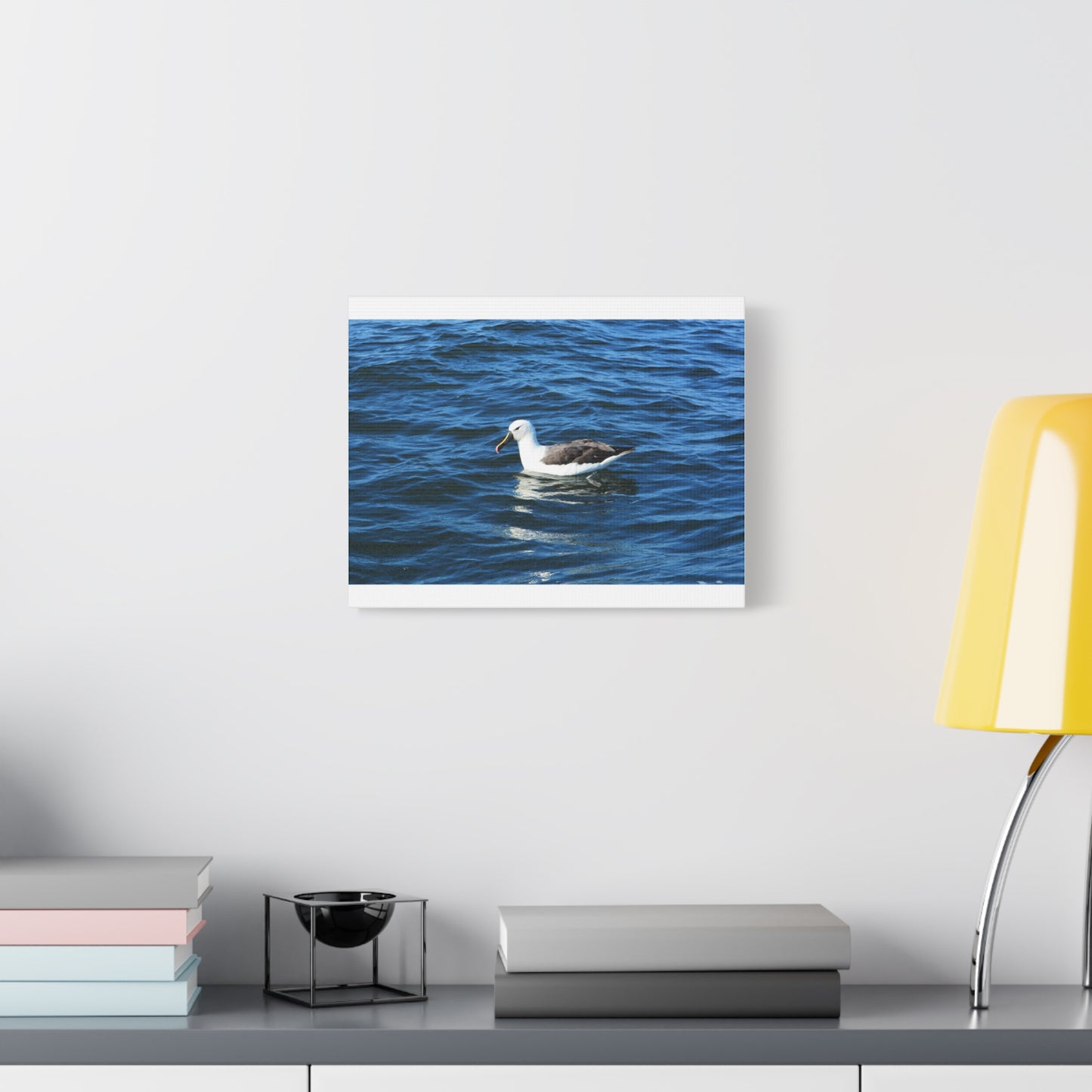 Albatross Canvas Print Sea Bird