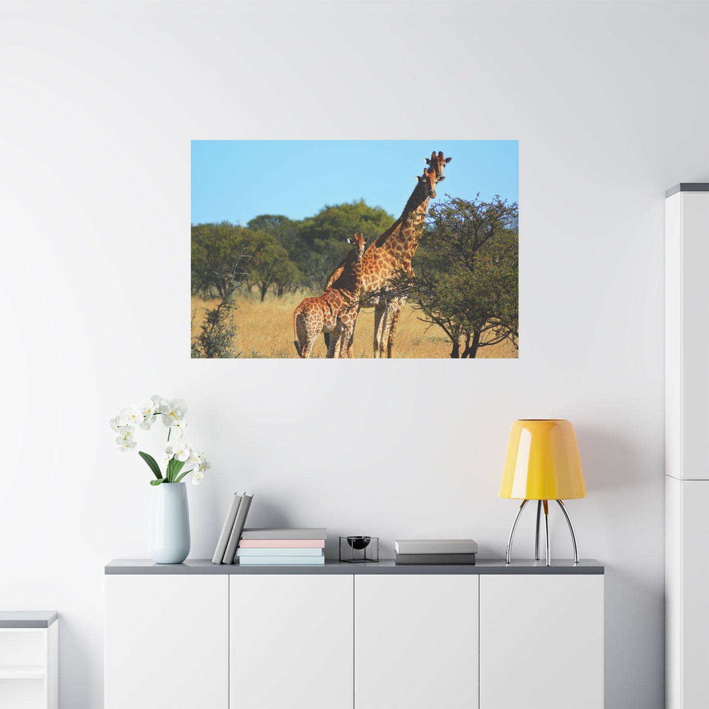 Giraffe Family in Africa