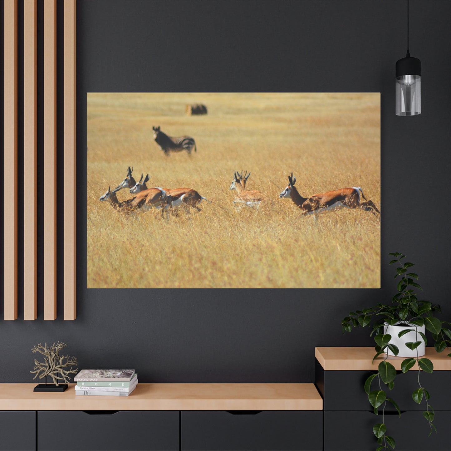 Springbok Herd in African Savannah