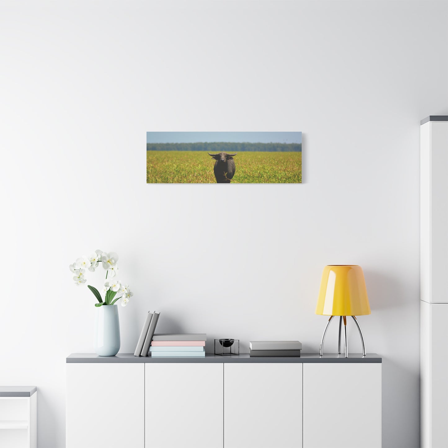 Asiatic Water Buffalo Australian Outback - Canvas Print