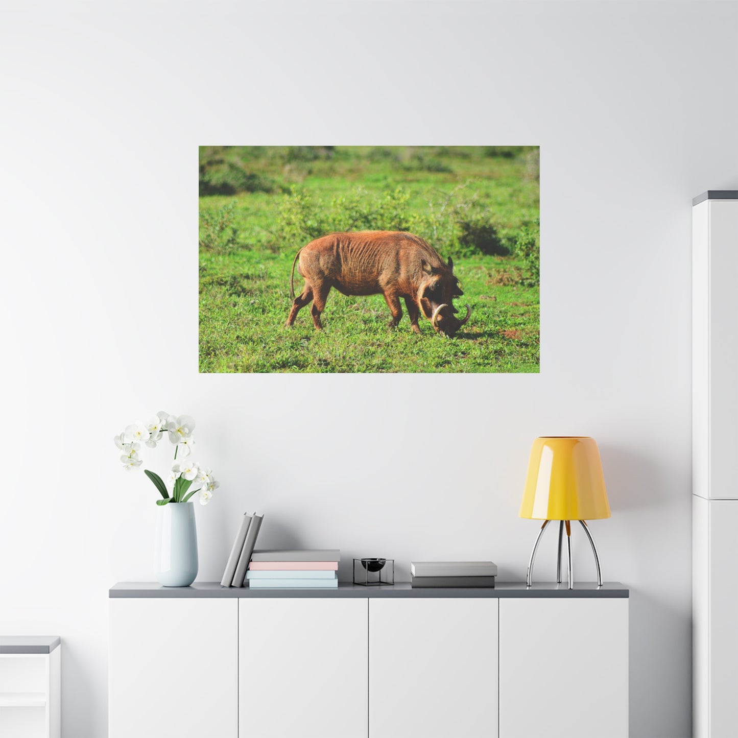 African Warthog - Canvas Print