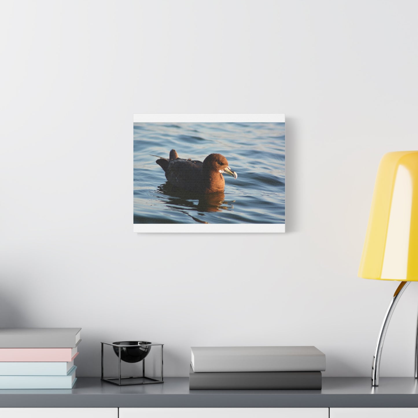 Bird Art Wall Decor, Coastal Wall Art, Ocean Decor, Nature Photography, Sea Bird Print