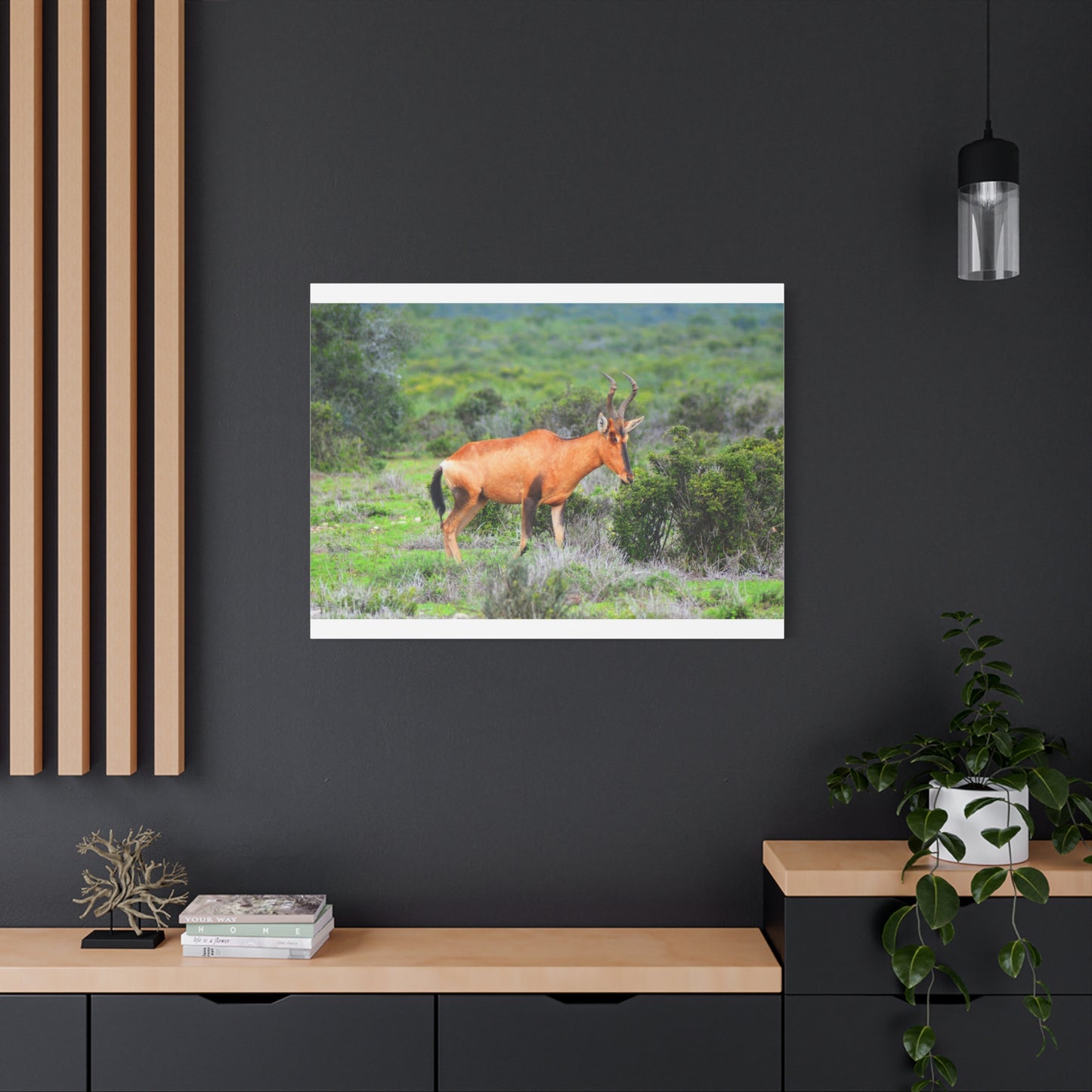 Africa Red Hartebeest - Canvas Print