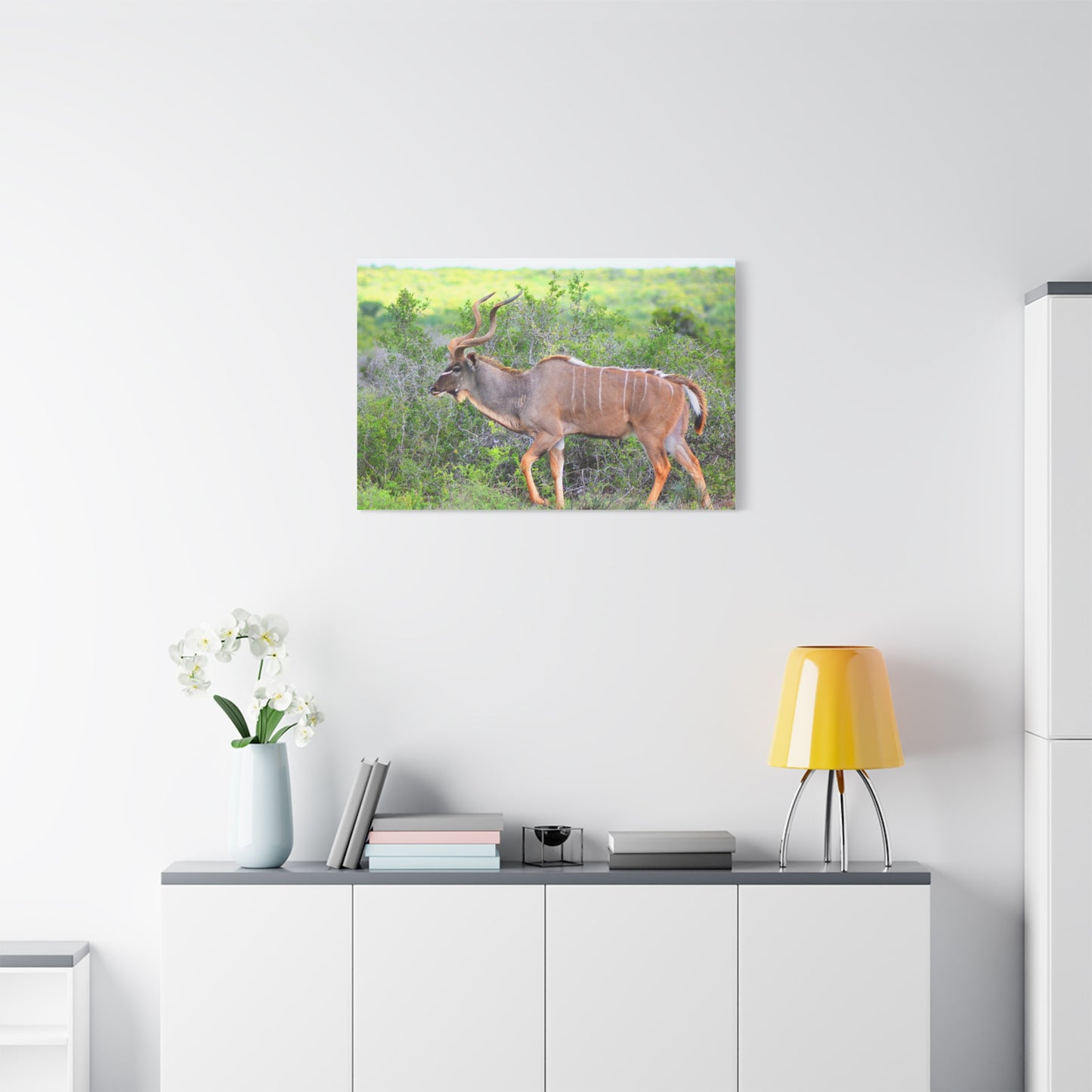 Africa Kudu Bull - Canvas Print
