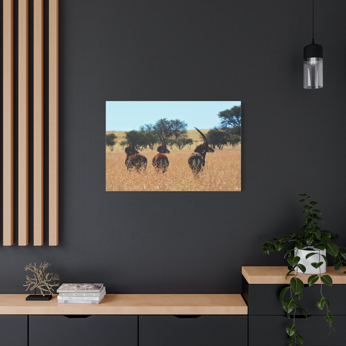 Sable Trio in Africa Canvas Print