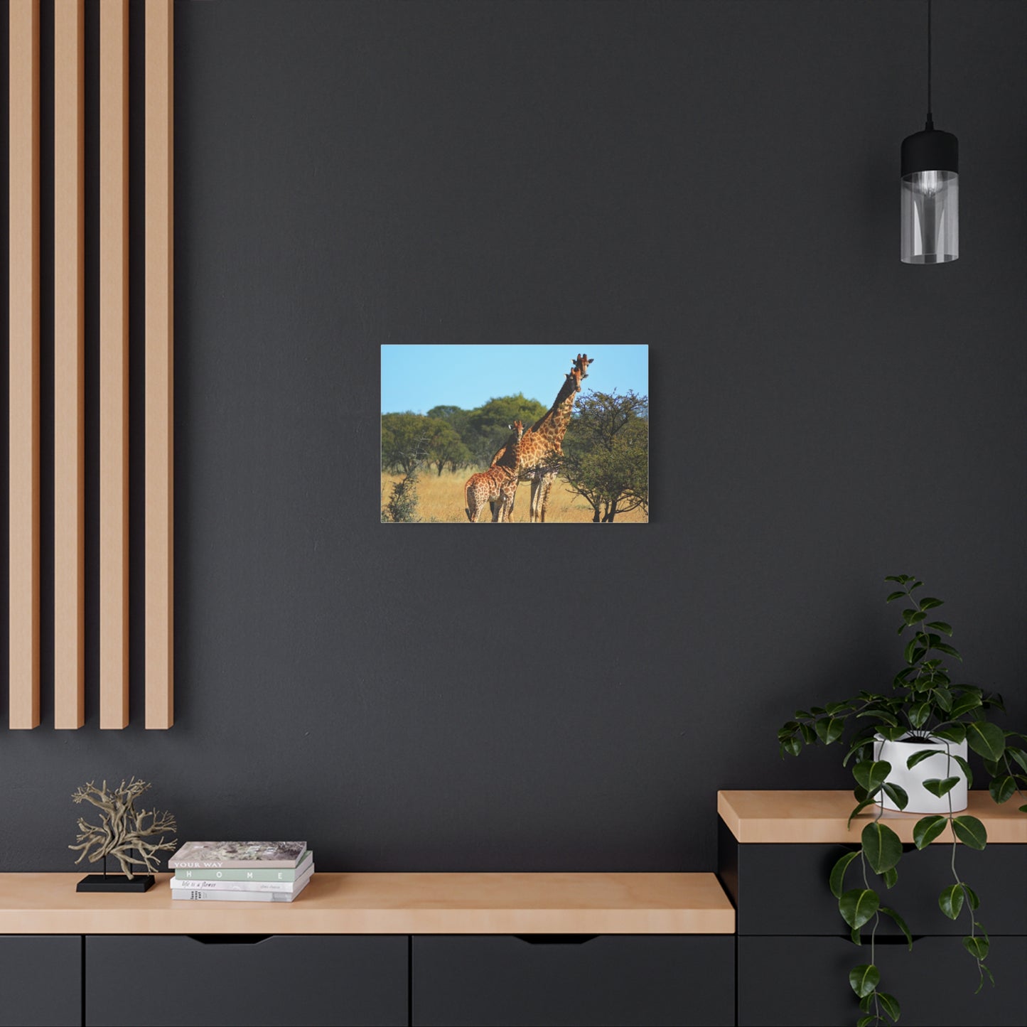 Giraffe Family in Africa