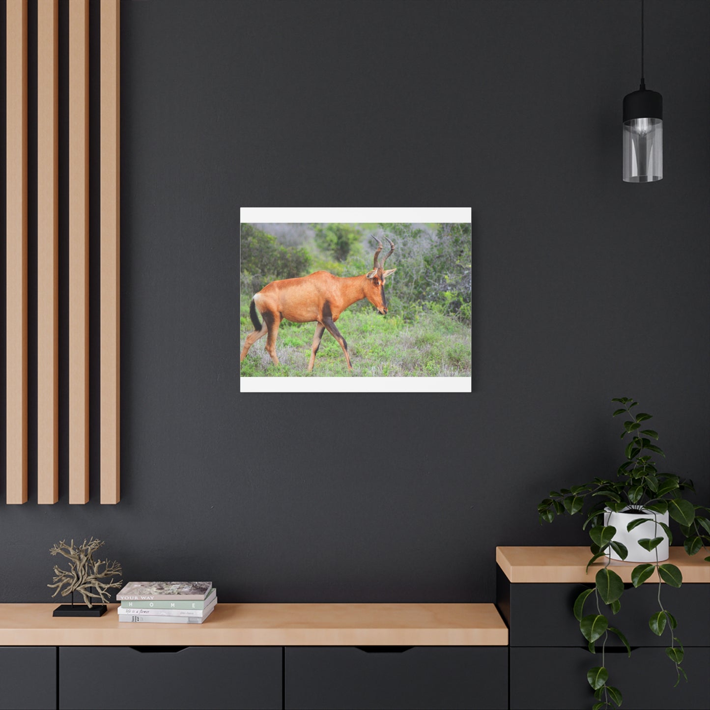 Red Hartebeest - Canvas Print