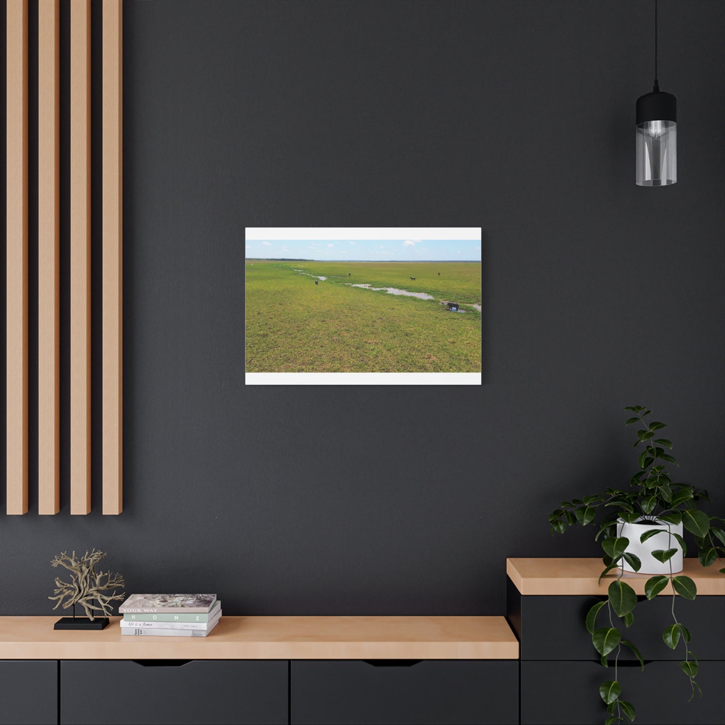 Asiatic Water Buffalo Australian Outback - Canvas Print