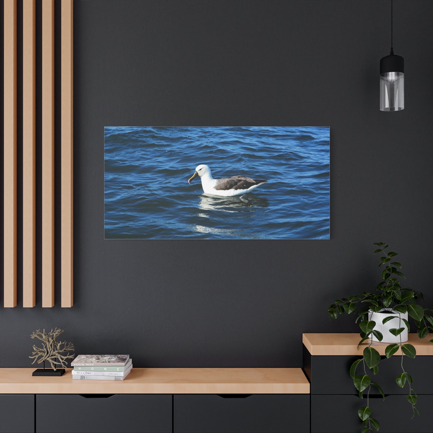 Albatross Canvas Print Sea Bird