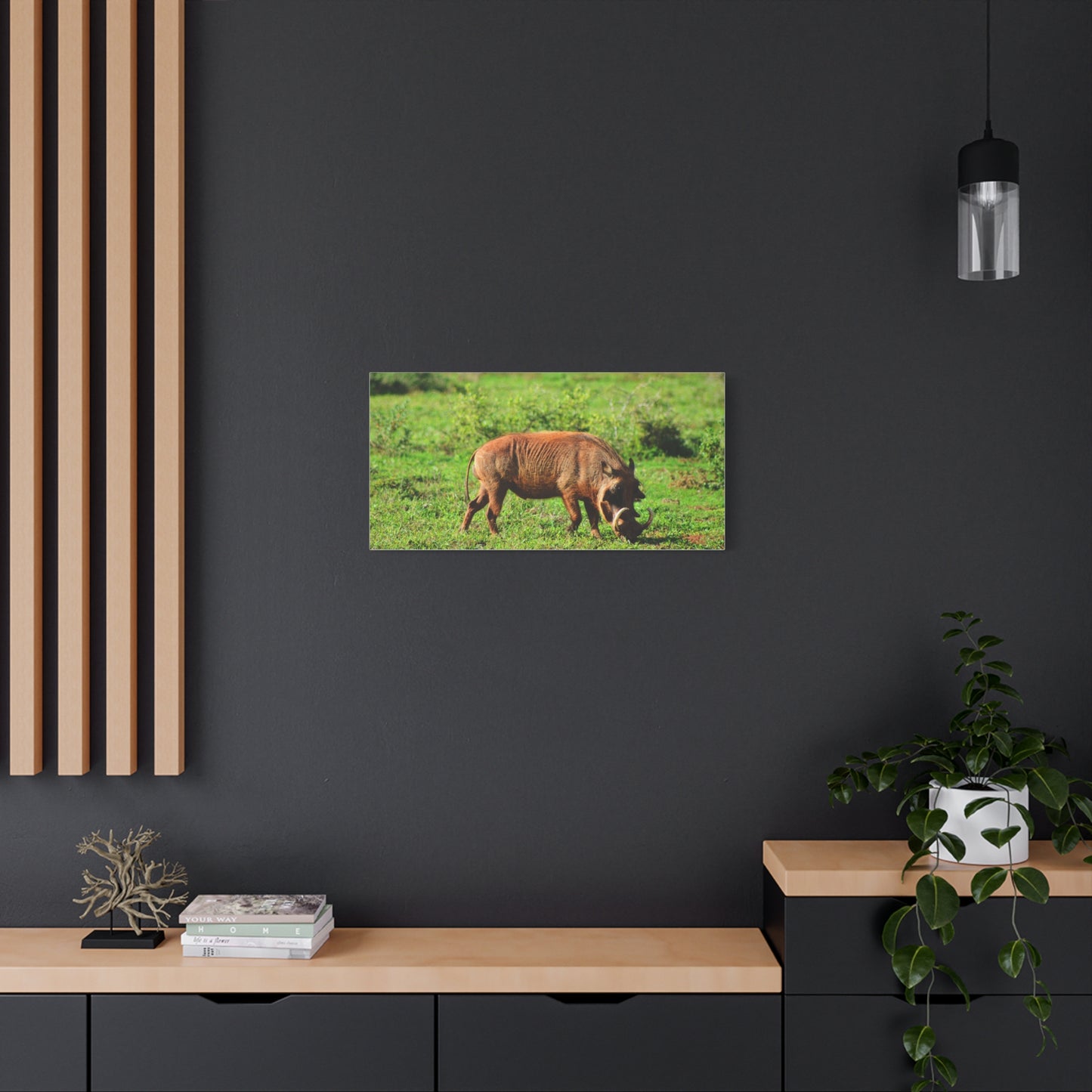 African Warthog - Canvas Print