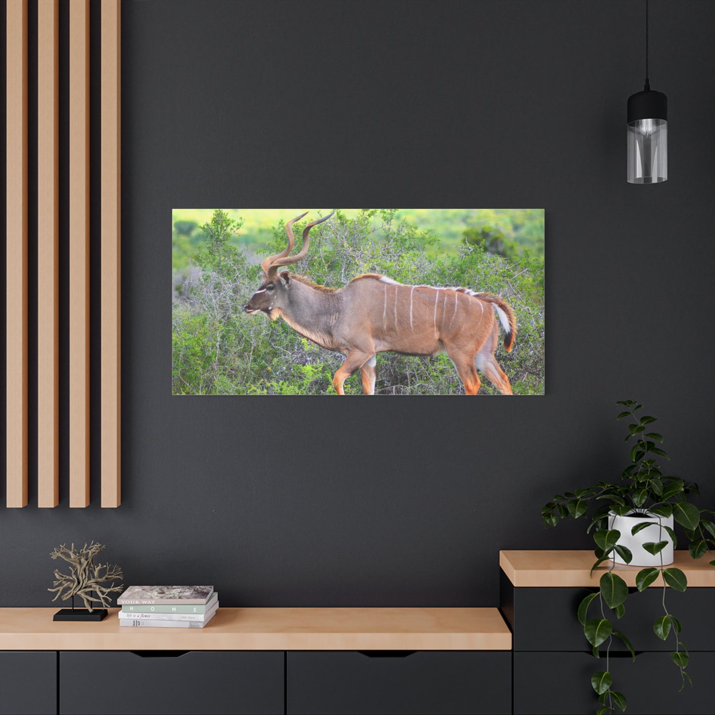 Africa Kudu Bull - Canvas Print