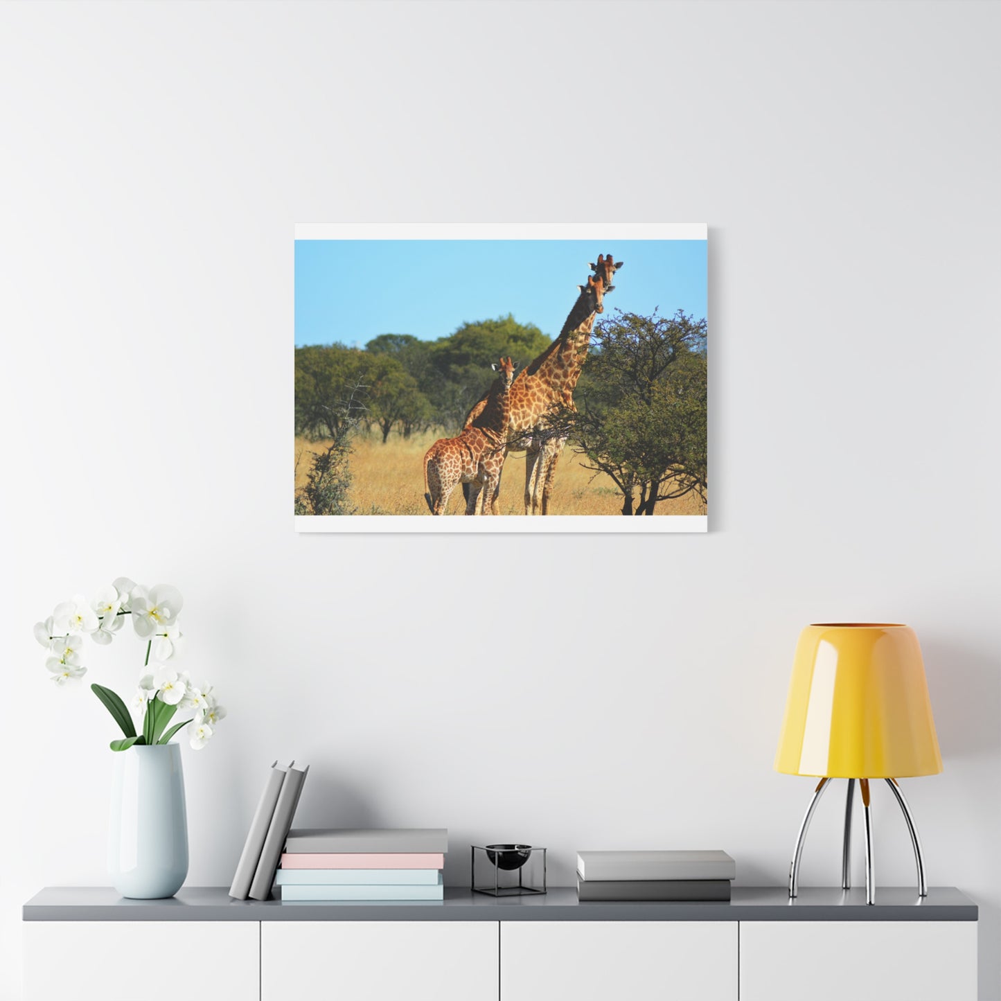 Giraffe Family in Africa