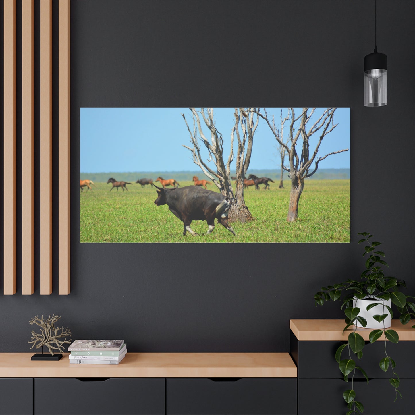 Australia Banteng - Canvas Print