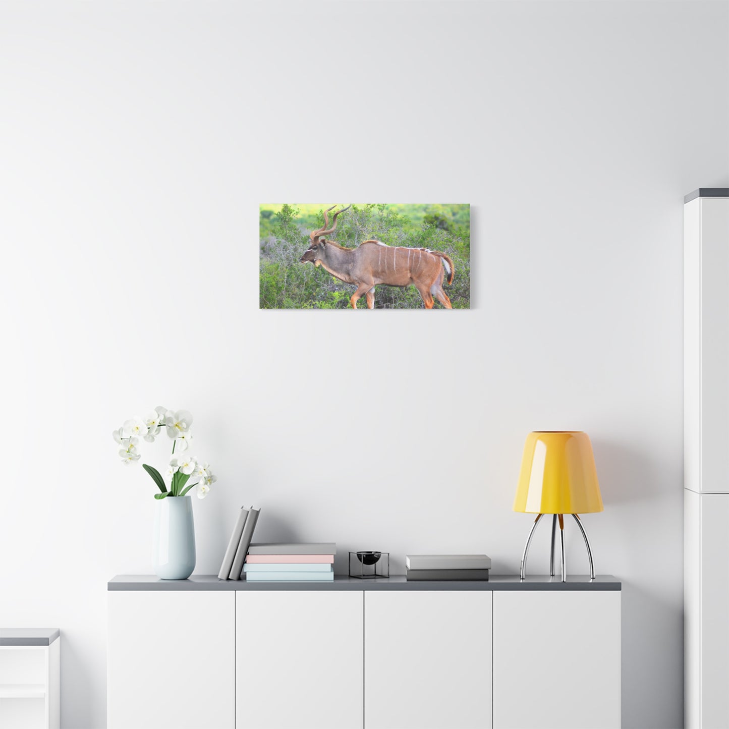Africa Kudu Bull - Canvas Print