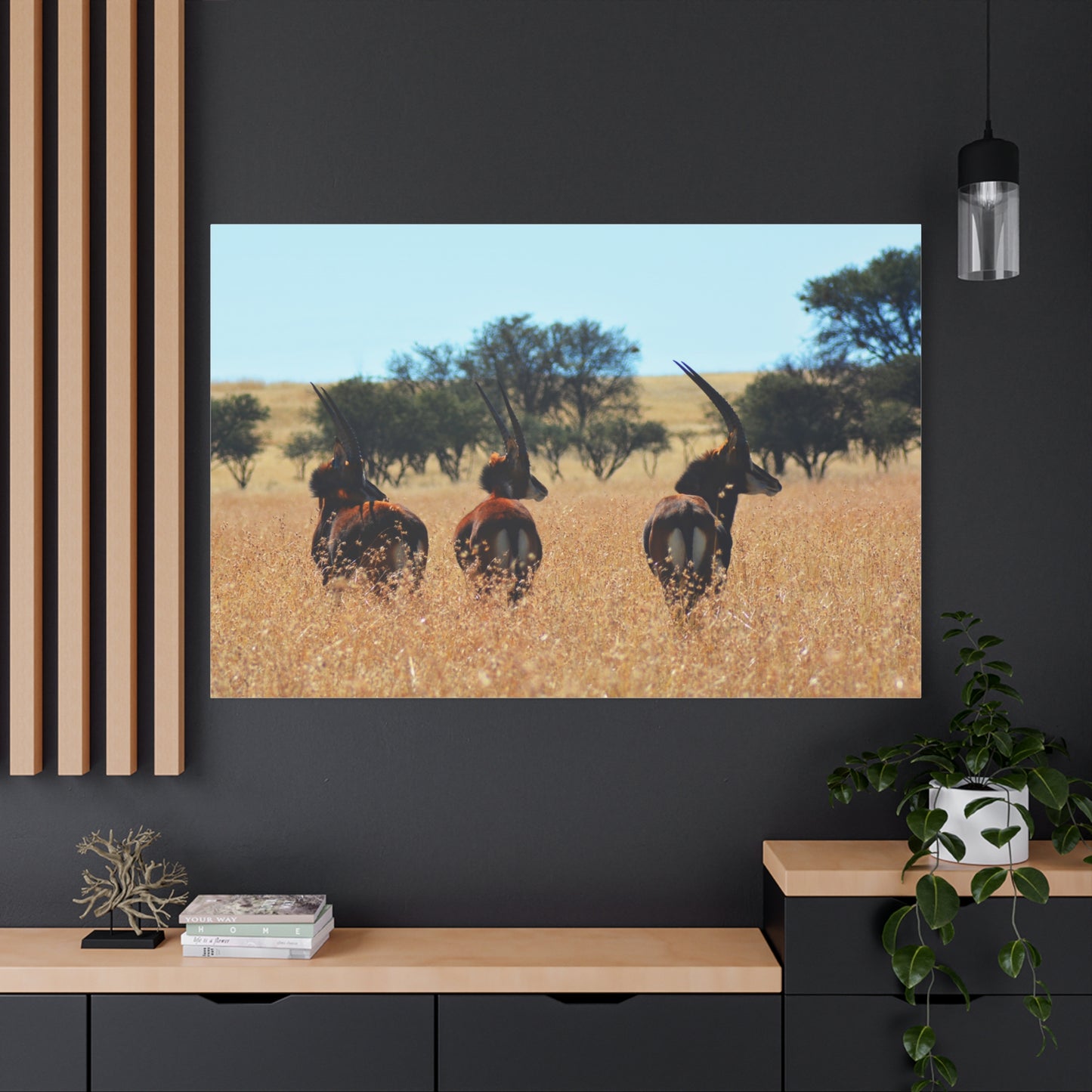 Sable Trio in Africa Canvas Print
