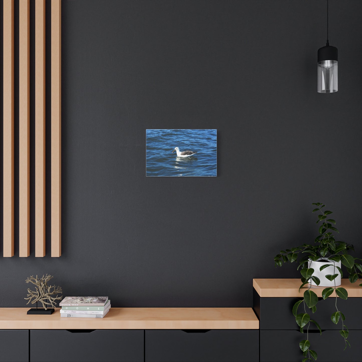 Albatross Canvas Print Sea Bird