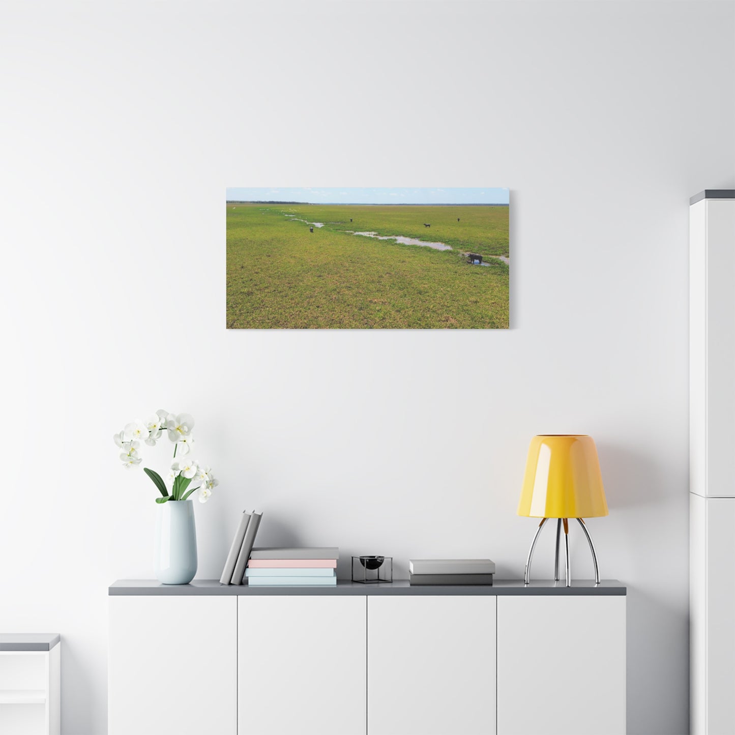 Asiatic Water Buffalo Australian Outback - Canvas Print