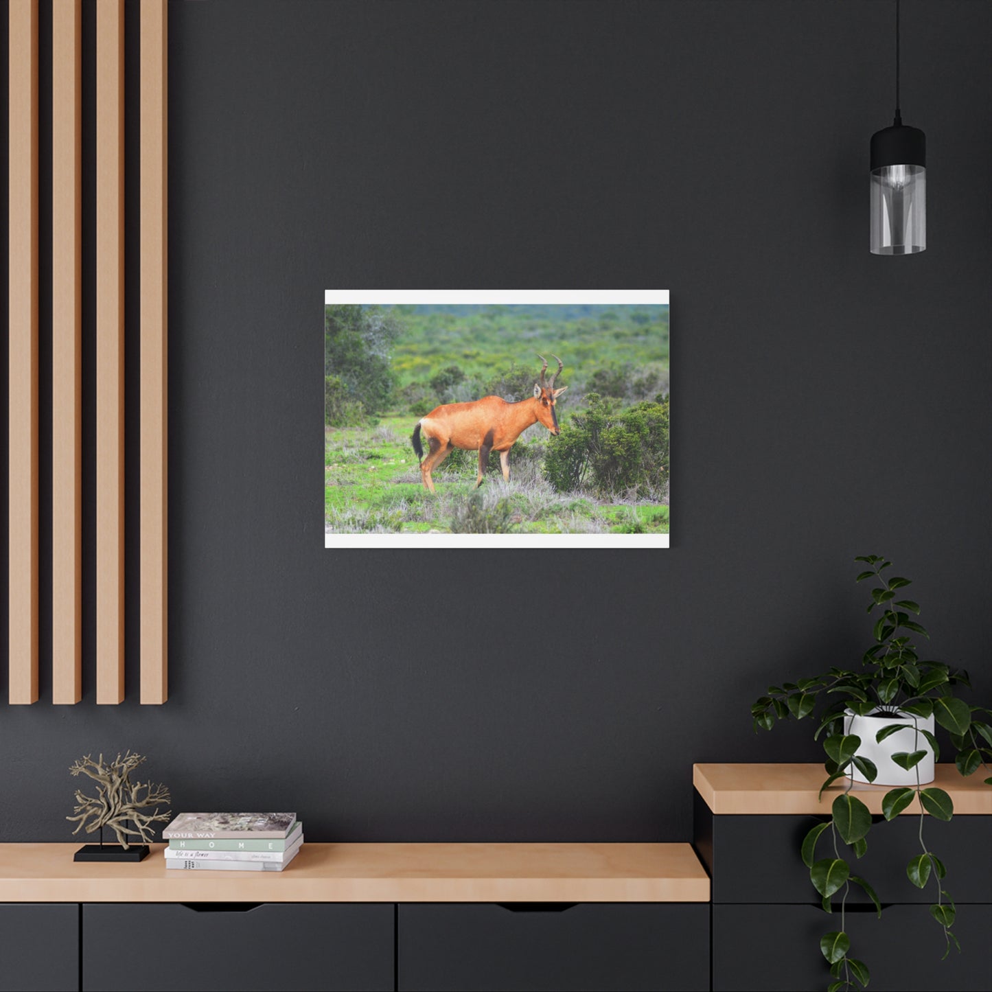 Africa Red Hartebeest - Canvas Print