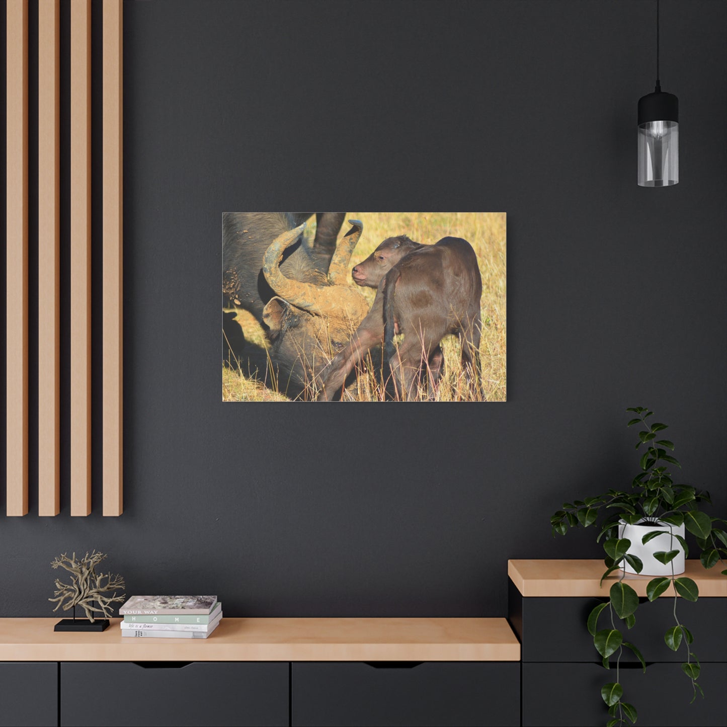 Cape Buffalo Tends to Calf