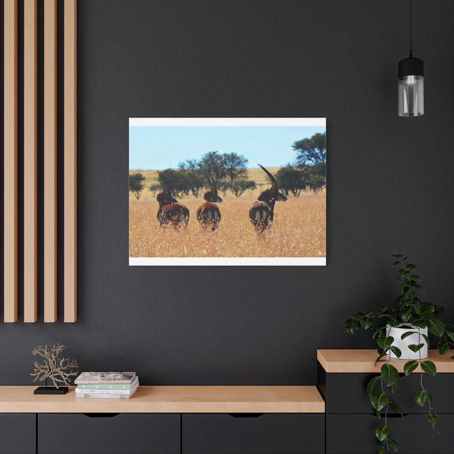 Sable Trio in Africa Canvas Print