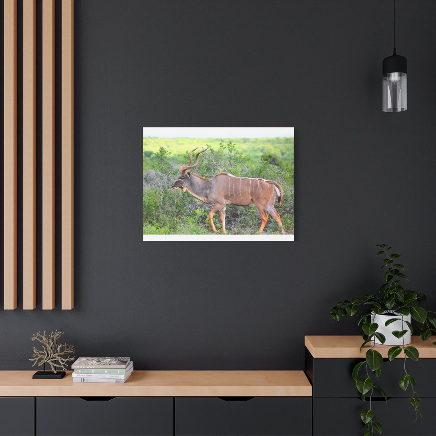 Africa Kudu Bull - Canvas Print