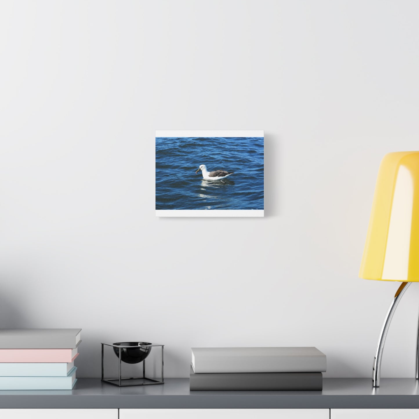 Albatross Canvas Print Sea Bird