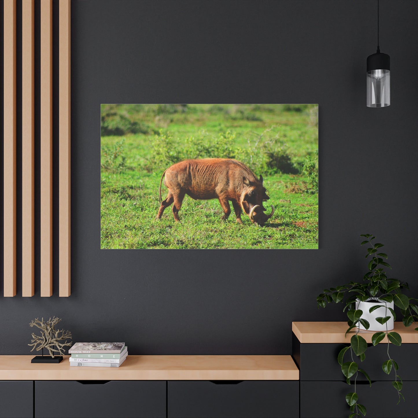 African Warthog - Canvas Print