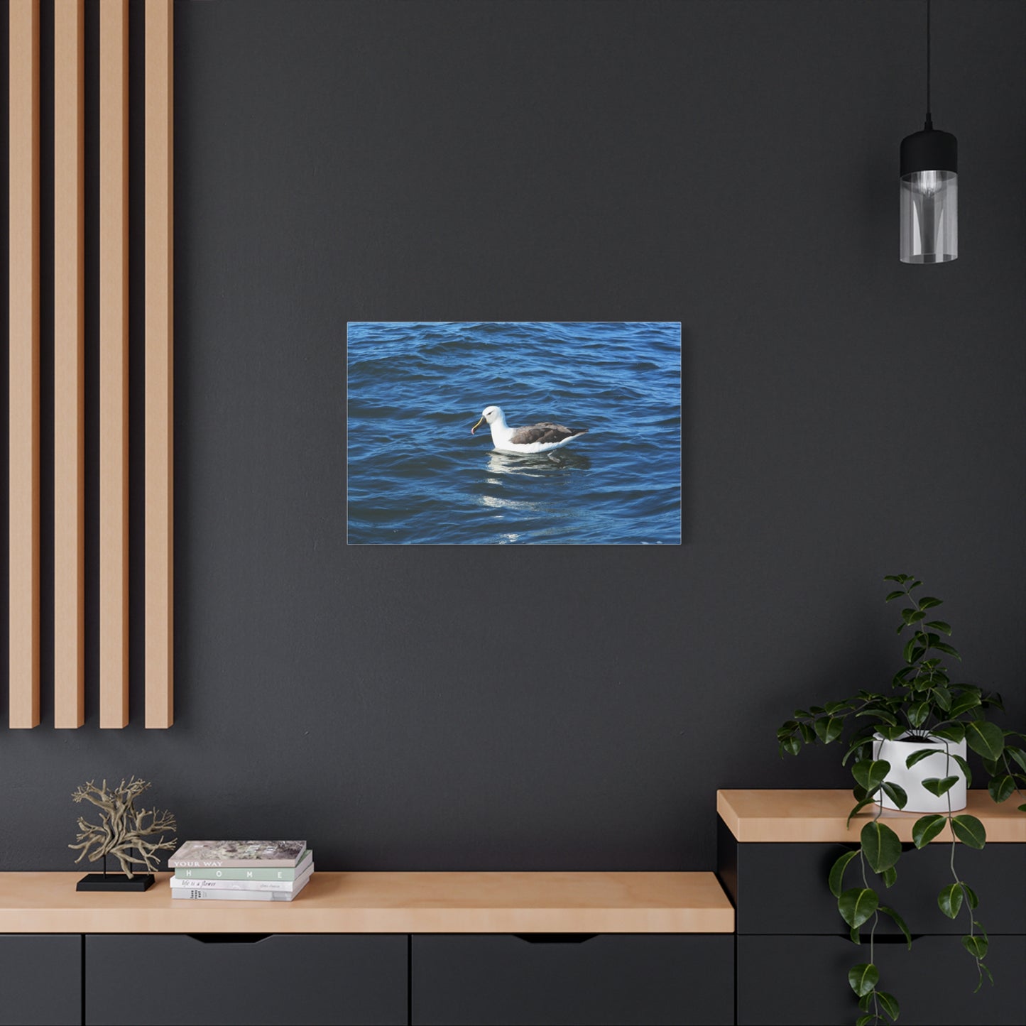 Albatross Canvas Print Sea Bird