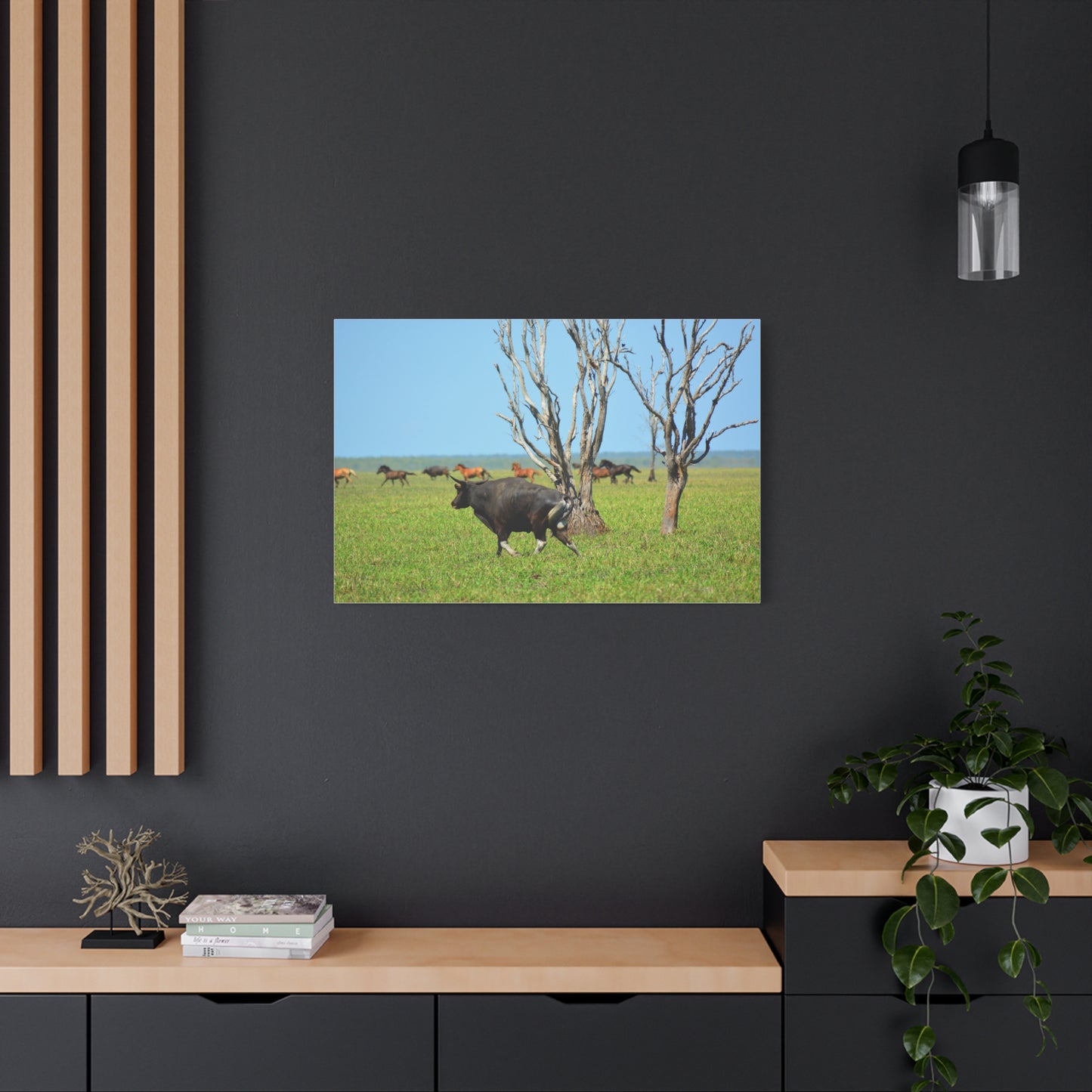 Australia Banteng - Canvas Print