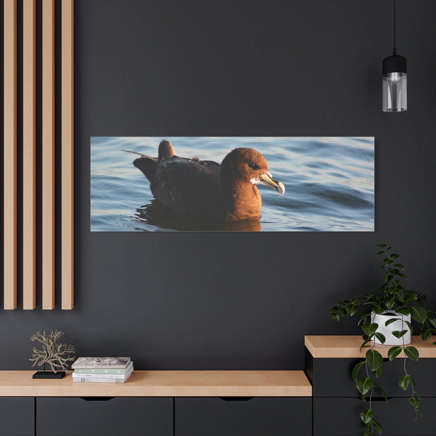 Bird Art Wall Decor, Coastal Wall Art, Ocean Decor, Nature Photography, Sea Bird Print