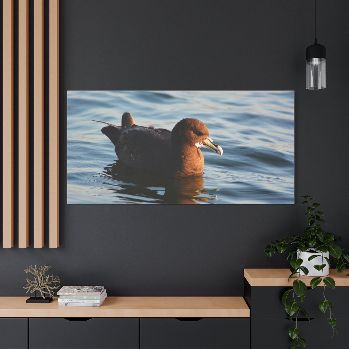 Bird Art Wall Decor, Coastal Wall Art, Ocean Decor, Nature Photography, Sea Bird Print