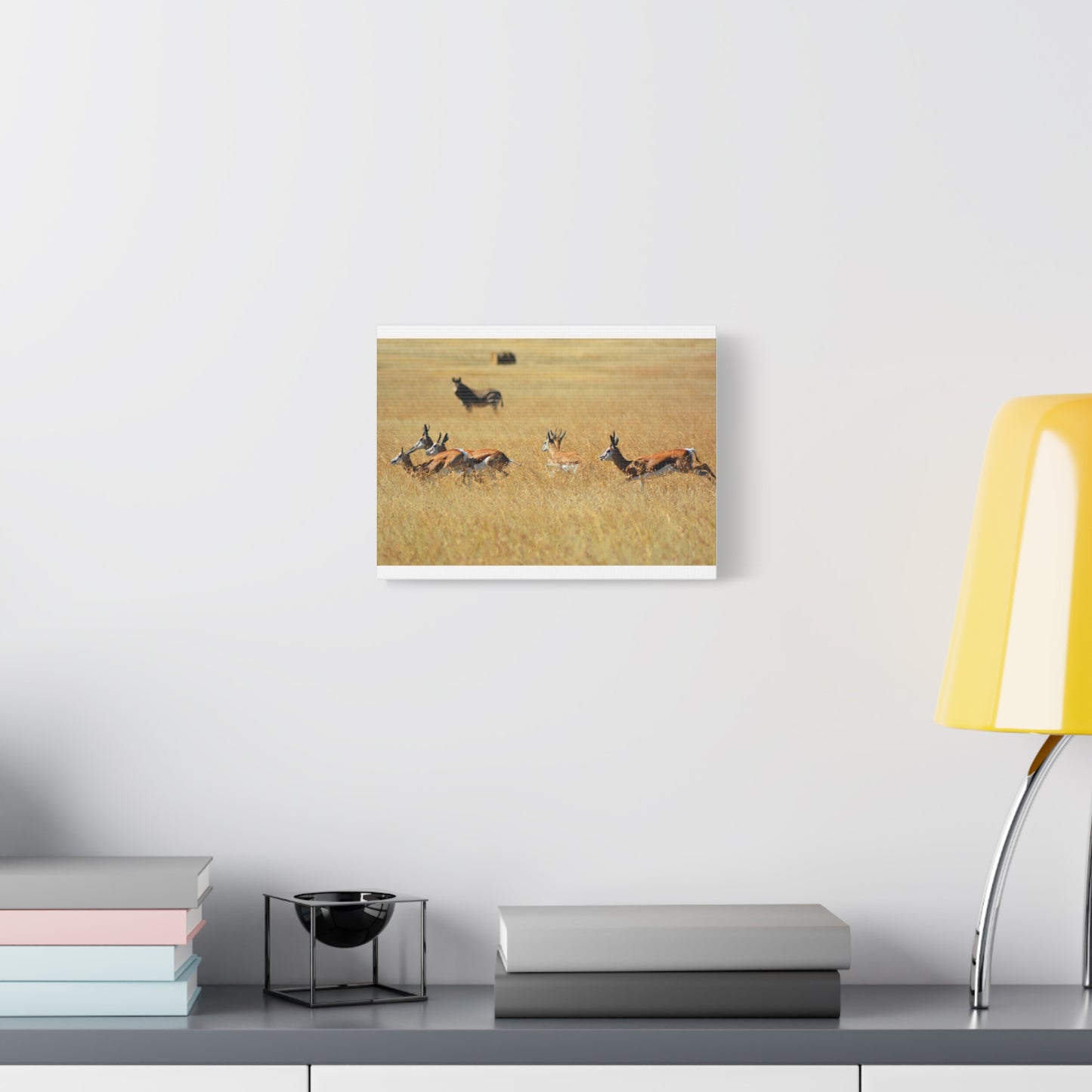 Springbok Herd in African Savannah