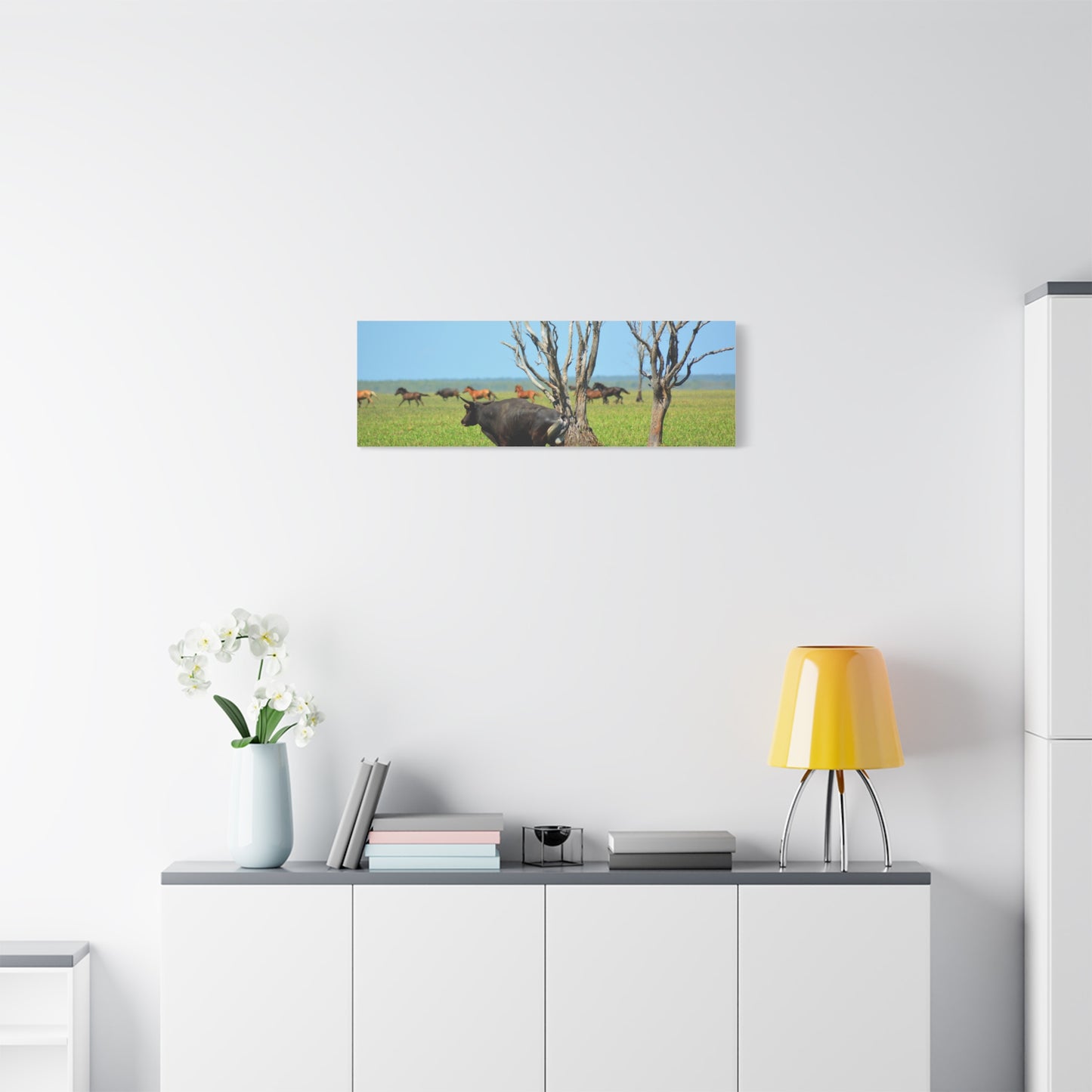 Australia Banteng - Canvas Print