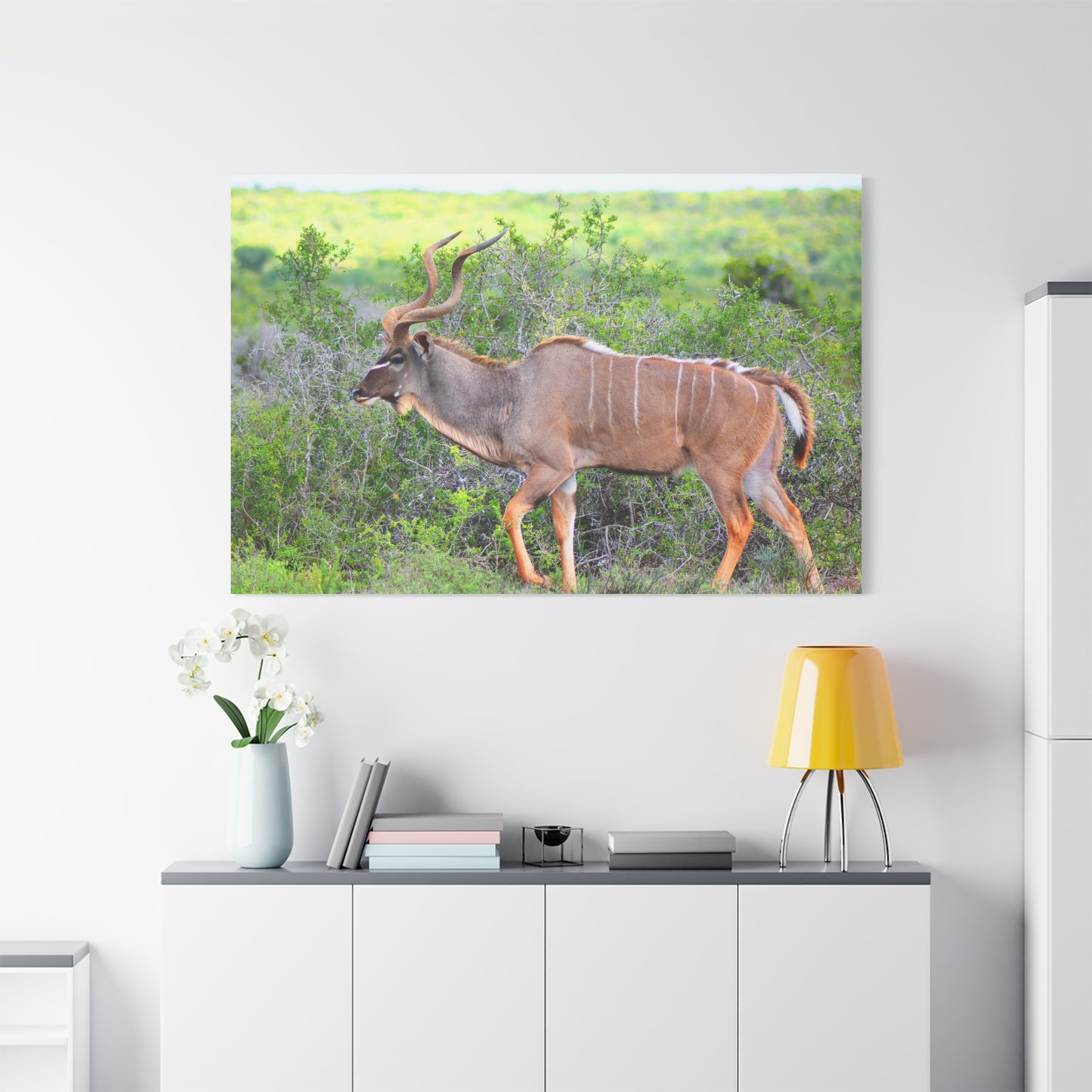 Africa Kudu Bull - Canvas Print