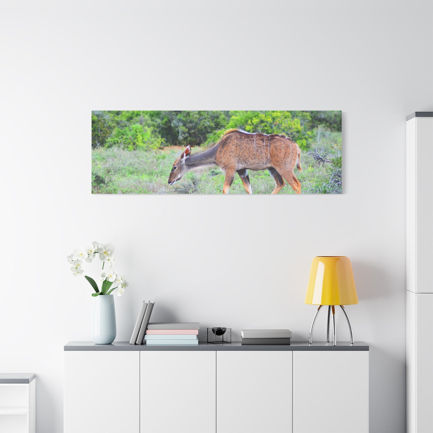 Africa Kudu Cow - Canvas Print