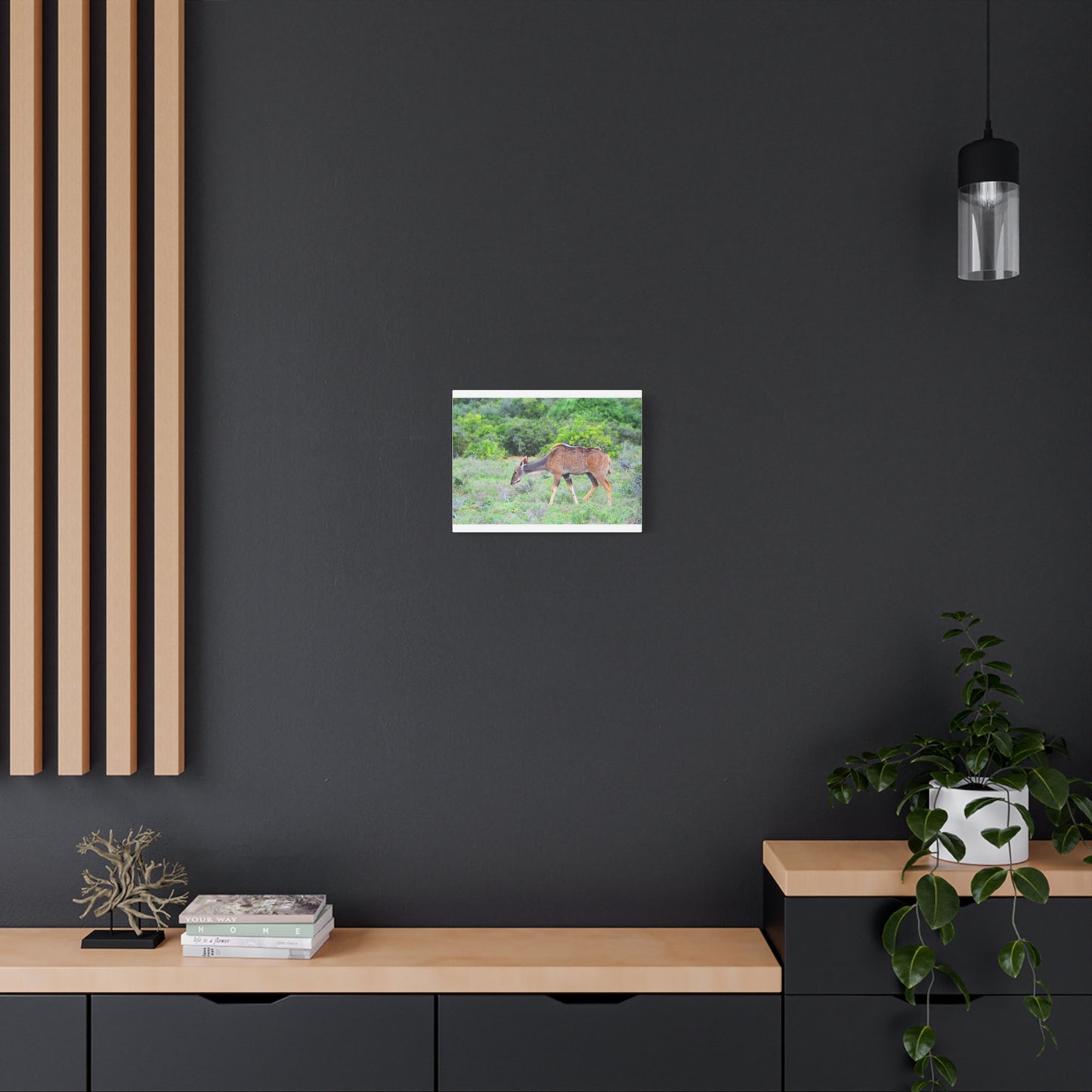 Africa Kudu Cow - Canvas Print
