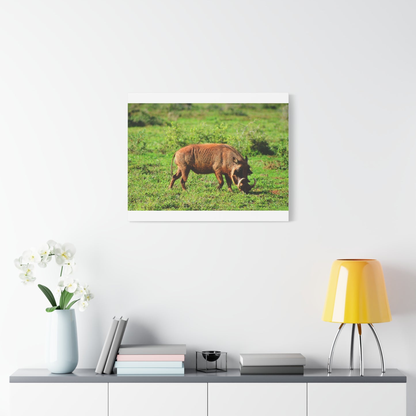 African Warthog - Canvas Print