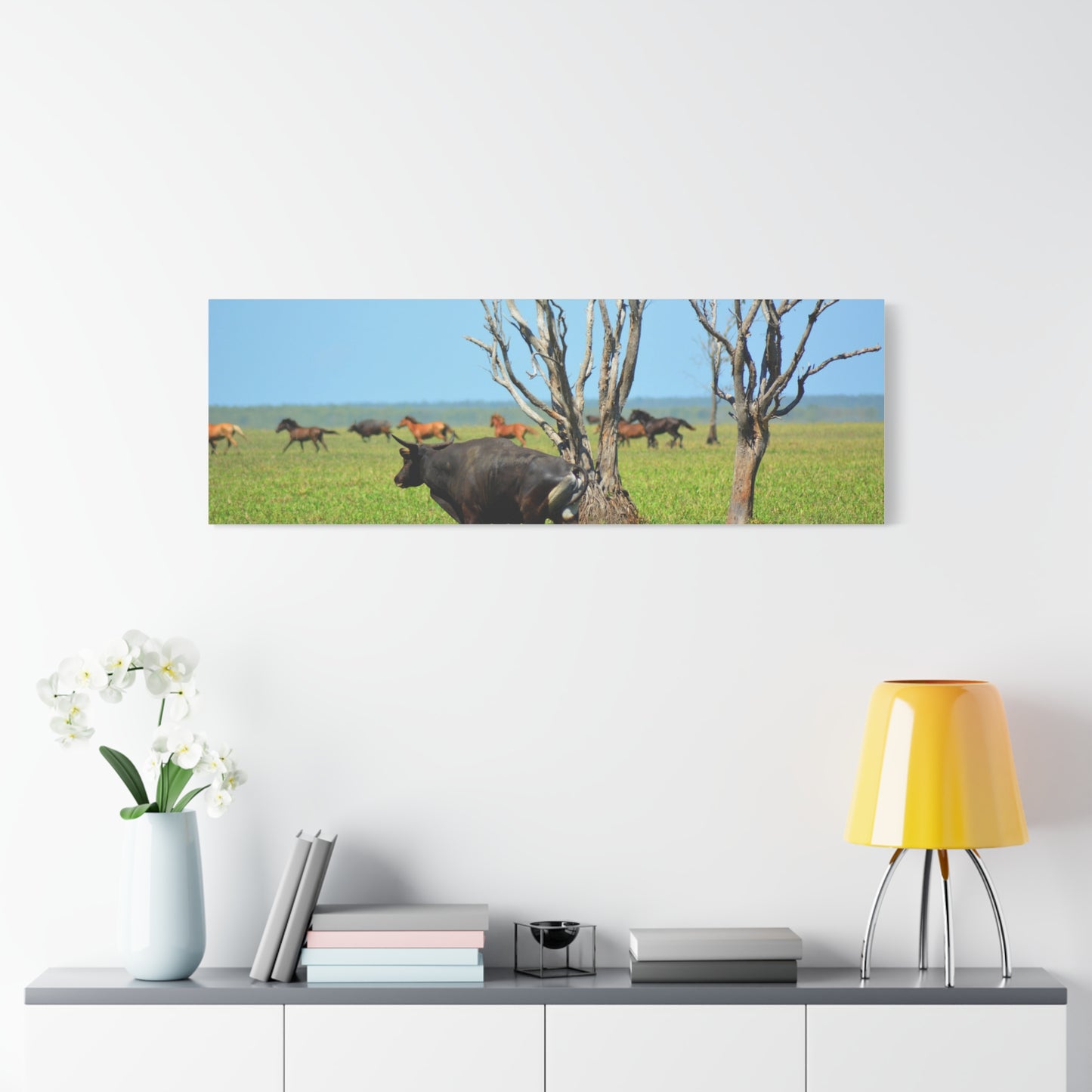 Australia Banteng - Canvas Print