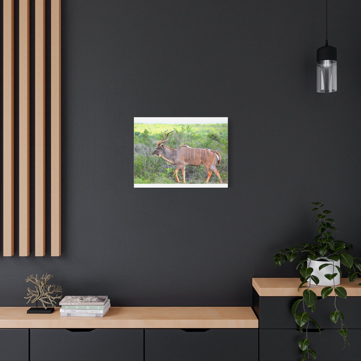 Africa Kudu Bull - Canvas Print