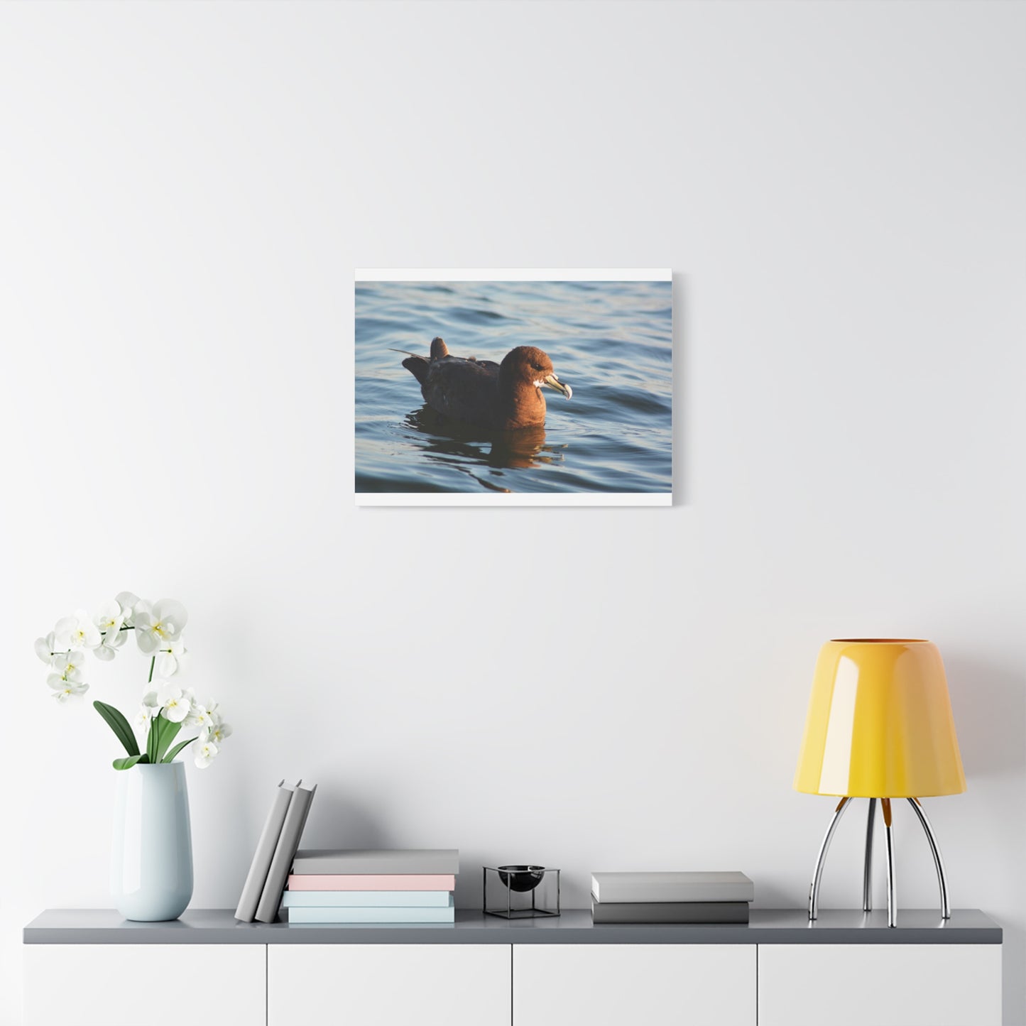 Bird Art Wall Decor, Coastal Wall Art, Ocean Decor, Nature Photography, Sea Bird Print
