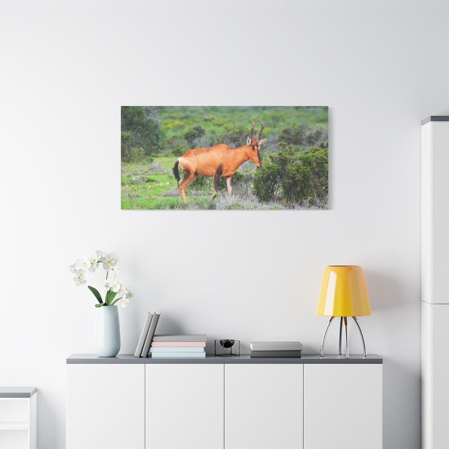 Africa Red Hartebeest - Canvas Print