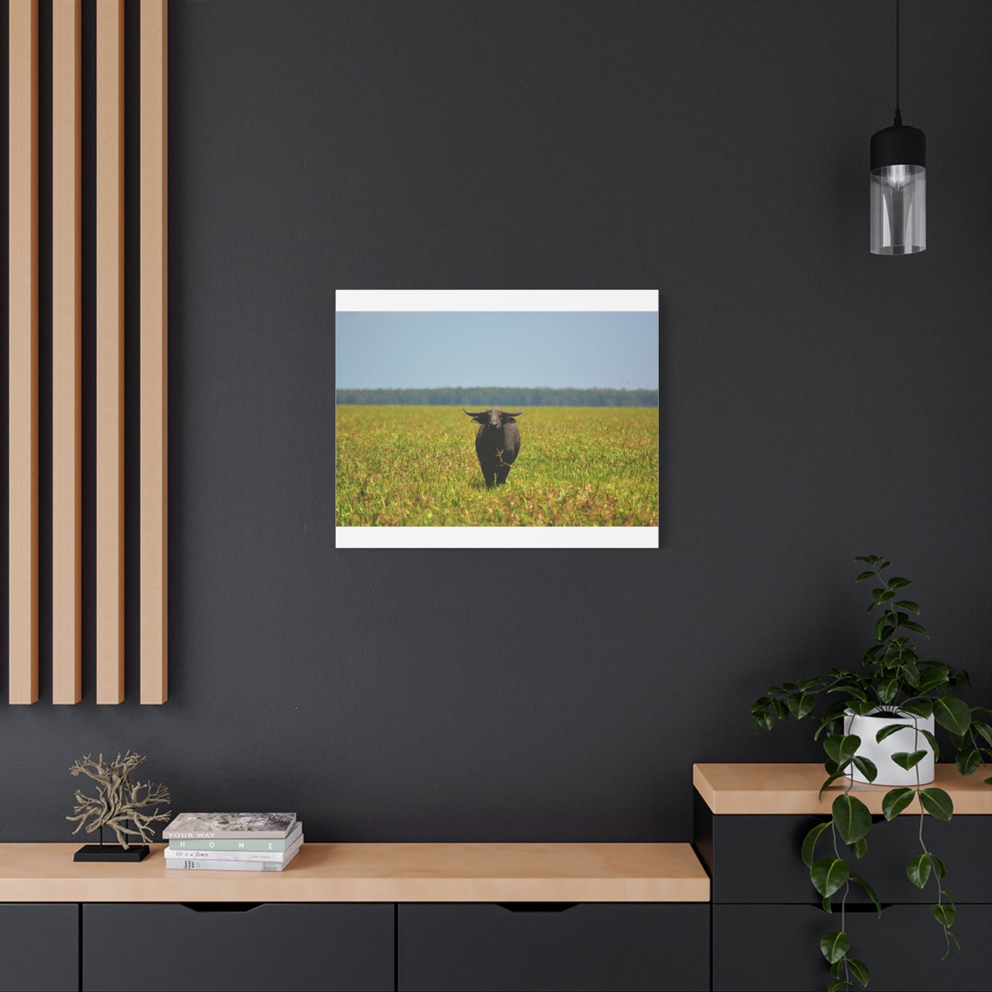 Asiatic Water Buffalo Australian Outback - Canvas Print