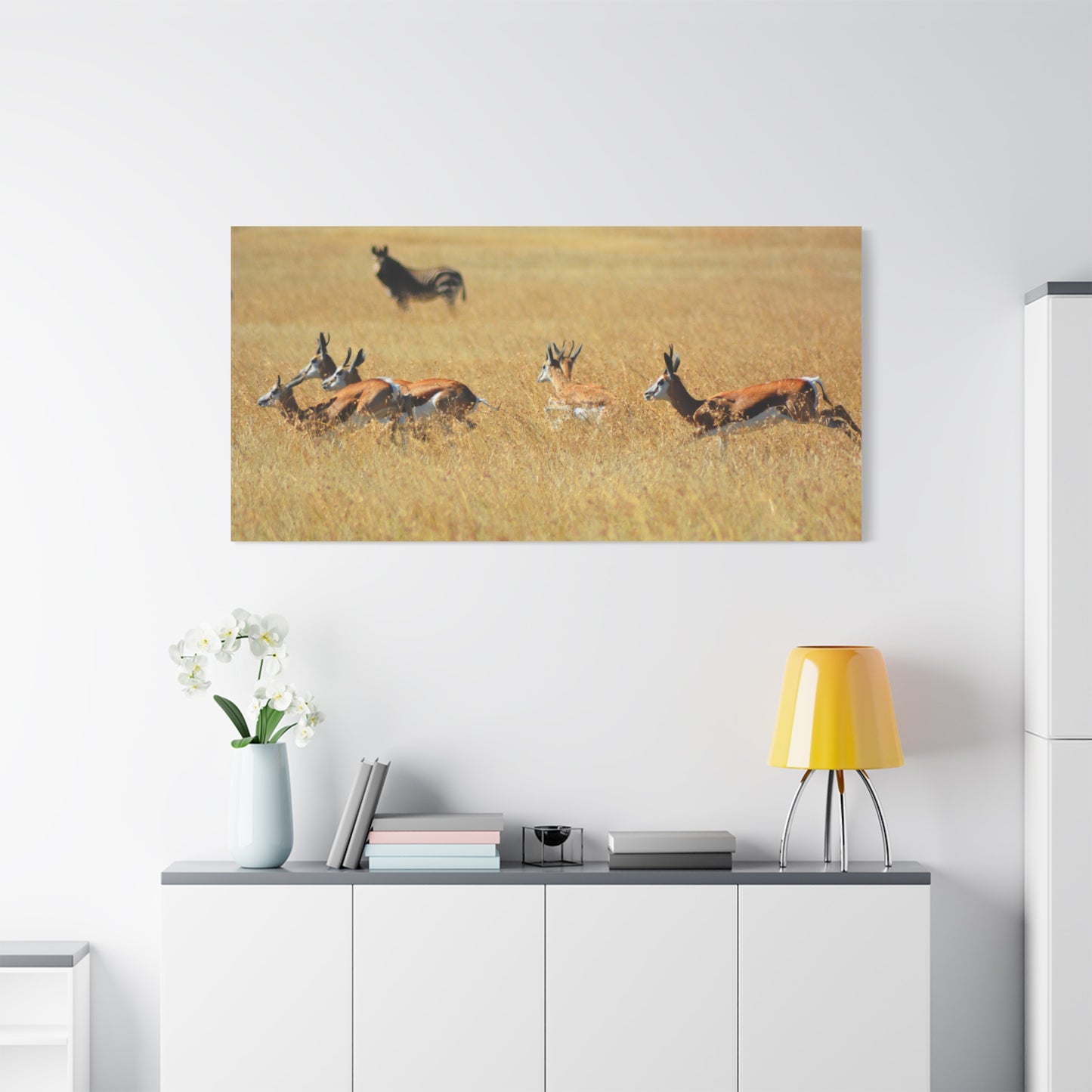 Springbok Herd in African Savannah