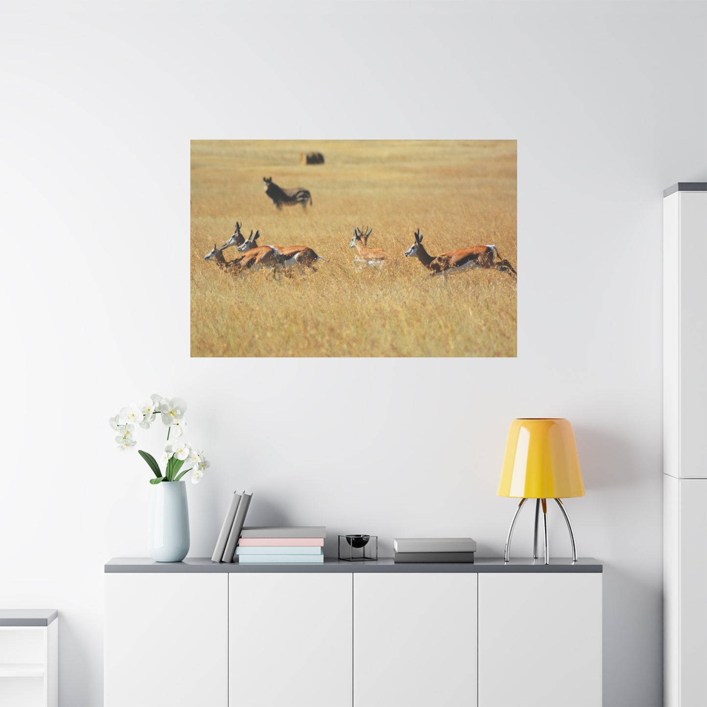 Springbok Herd in African Savannah