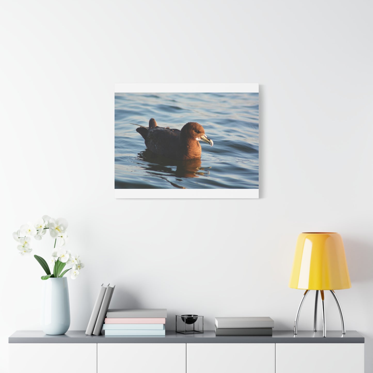 Bird Art Wall Decor, Coastal Wall Art, Ocean Decor, Nature Photography, Sea Bird Print