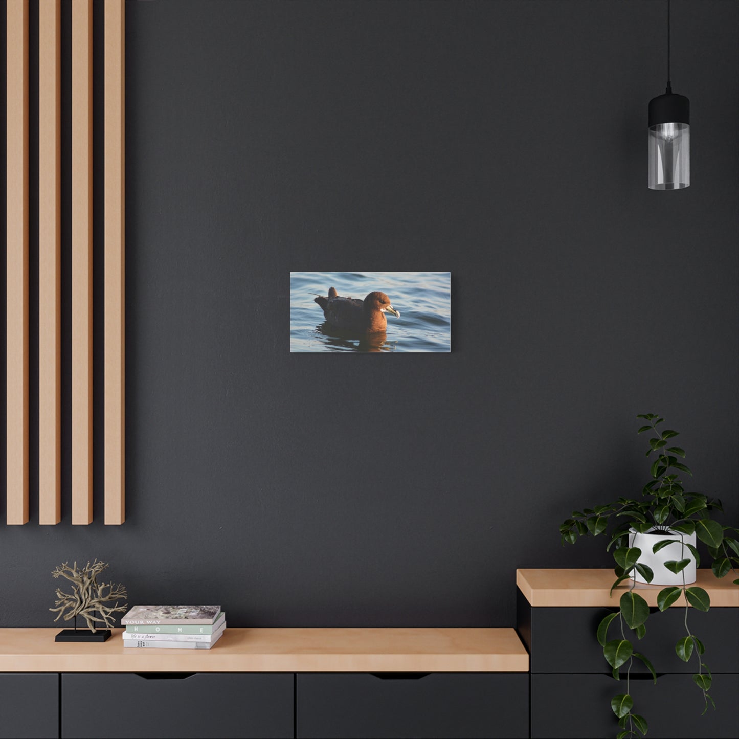 Bird Art Wall Decor, Coastal Wall Art, Ocean Decor, Nature Photography, Sea Bird Print