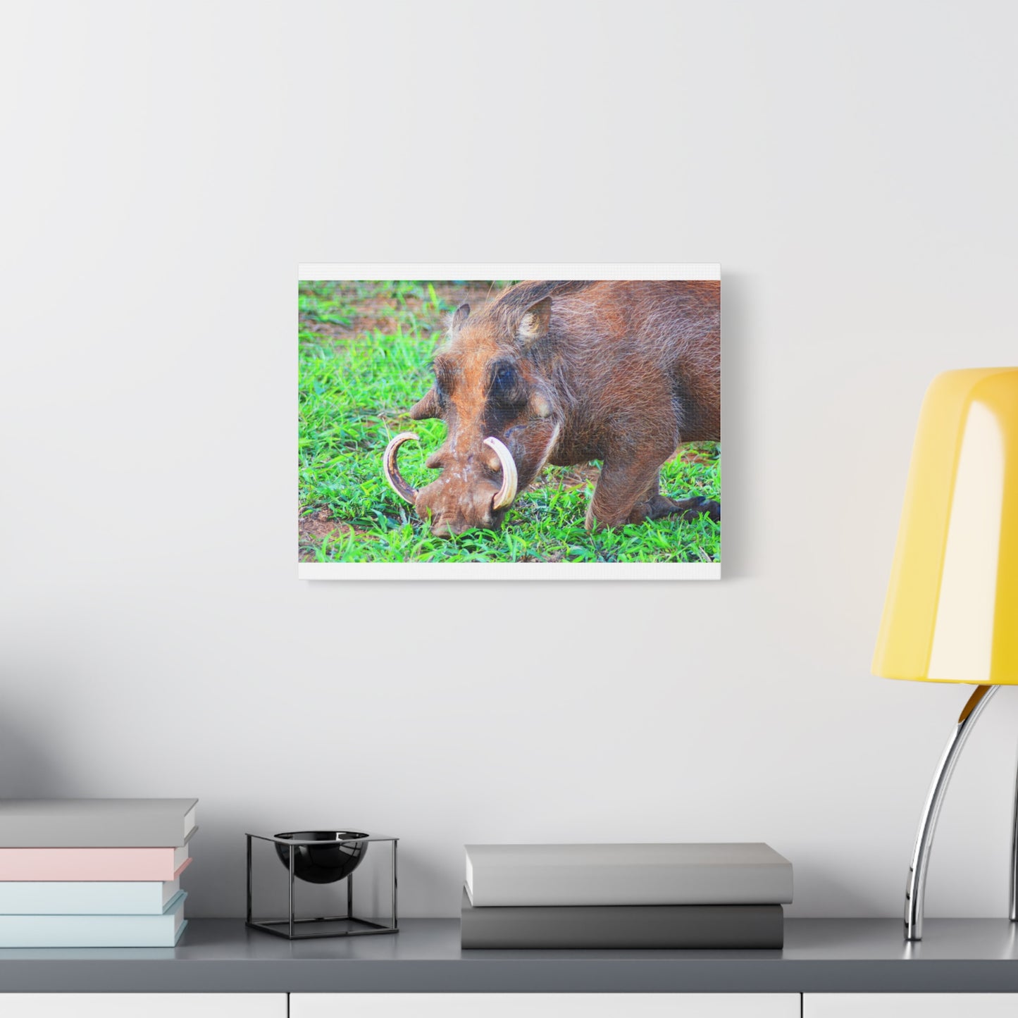 African Warthog Eating - Canvas Print