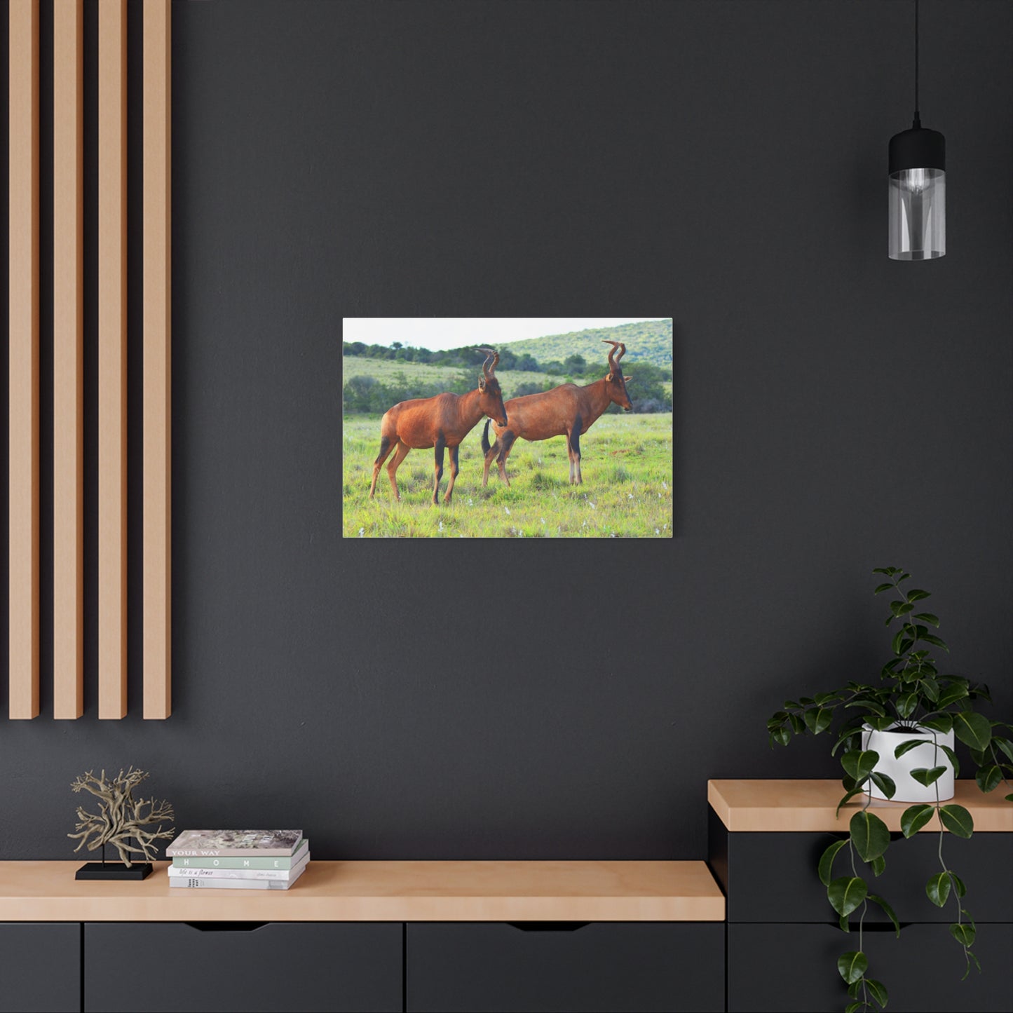 African Red Hartebeest - Canvas Print