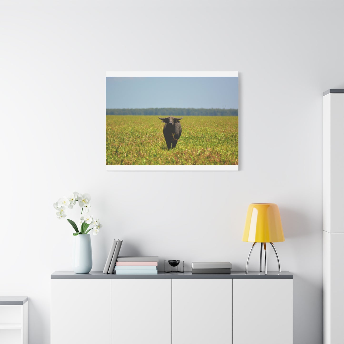 Asiatic Water Buffalo Australian Outback - Canvas Print