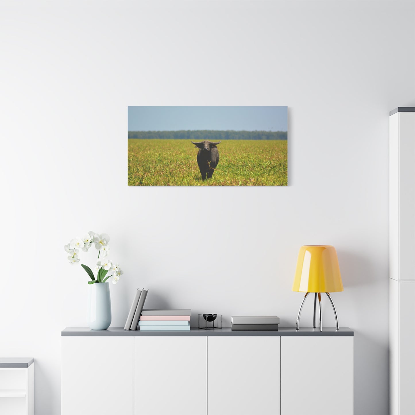 Asiatic Water Buffalo Australian Outback - Canvas Print